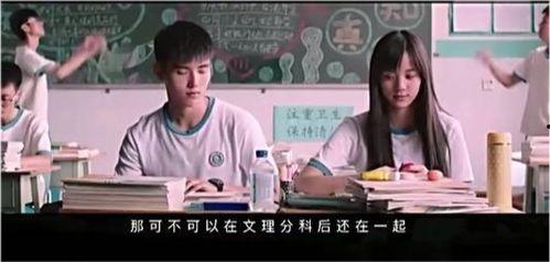 秘果电影在线观看完整,揭秘青春禁忌，探寻心灵成长之旅