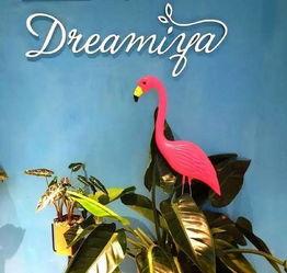 网红卡秋家在哪,揭秘她神秘居住地背后的故事